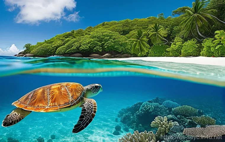 세이셸 호텔 리뷰와 추천 - **Prompt 2: Authentic Creole Hospitality at a Seychelles Guesthouse**
    An intimate scene set on t...