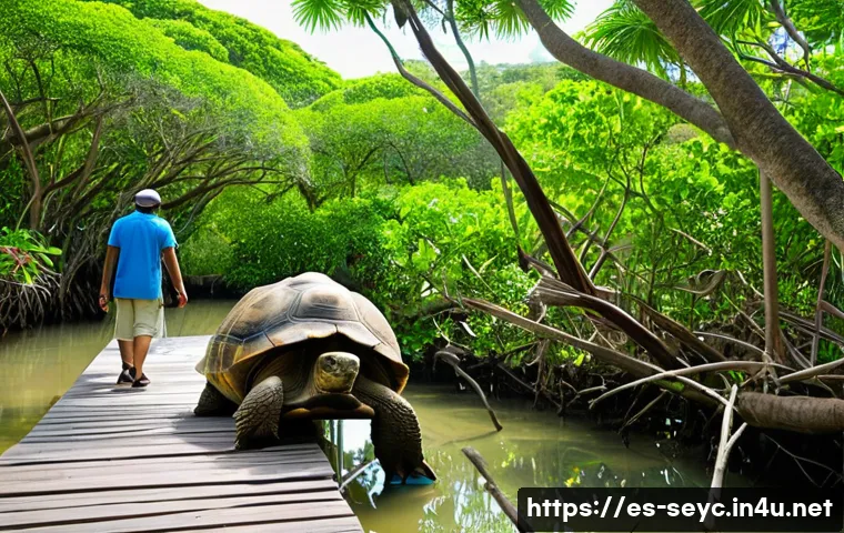 Las Joyas Ocultas de Seychelles Tu Guía para un Paraíso Sin Multitudes 3 세이셸 혼잡하지 않은 비밀 스팟 관련 이미지 1