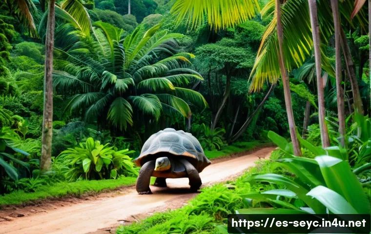 세이셸과 몰디브 비교 여행 - A lush tropical forest scene from Seychelles showcasing towering palm trees and dense greenery with ...